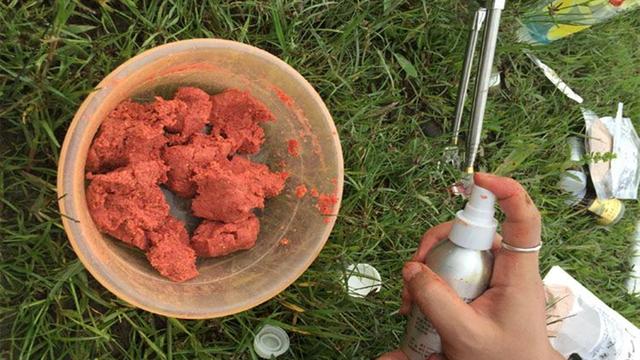 诱鱼剂，俗称小药，它到底是什么物质有如此神奇的效果？