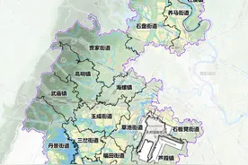 「官方」成都东部新区“农村”拆迁标准是否改变？图片
