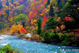 中国秋天最美的10处红叶，你都知道在哪里吗？图片