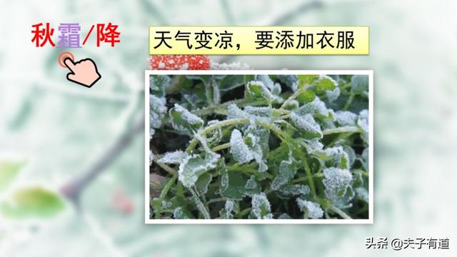 部编版一年级下册语文《春夏秋冬》知识点+图文讲解，给孩子预习