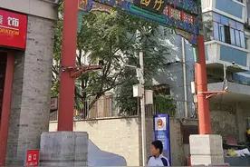 北京胡同里转悠，八哥说话挺好玩，看有您认识的地方吗？图片