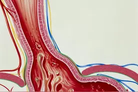 喝粥养胃竟喝出食管癌前病变！医生说正确养胃应做好这两点图片