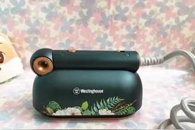 挂烫机哪个牌子好，西屋折叠手持挂烫机怎么样图片