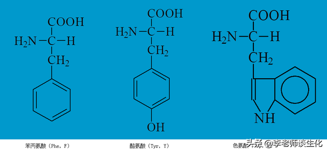 鍩烘湰姘ㄥ熀閰哥殑涓€浜涘熀鏈煡璇嗭細缁撴瀯銆佺壒鐐逛笌璁板繂鏂规硶锛堝叚锛? onerror=