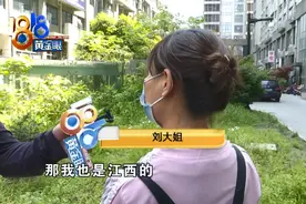 明明很投缘，却频繁换东家？家政中介：话说得太过委婉，有时候阿姨会听不懂图片