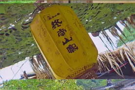 「终南山寨」好一处归隐山林的清幽世界图片