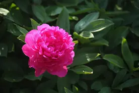 厉害的人有这4个特质，表面上看起来普通平常，骨子里却异常强大图片