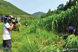 农民都爱看《致富经》，却总说看看就得了！网友：你认真你就输了图片