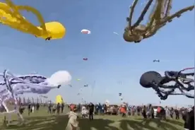 潍坊人民一休息，全世界都放不起风筝了图片