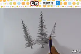 素描松树绘画教程：大轮廓是圆锥体，画好枝叶和树干的深浅层次图片
