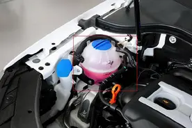 防冻液该怎么加？防冻液红色和绿色有什么区别？图片