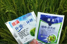 打农药加点醋？这是一般人不会告诉你的小秘方图片