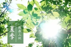 三伏天，不管有钱没钱，为家人备好6种“扶阳”水，舒服过夏天图片