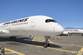 11月起共10家航司执飞中日14个城市的航线，为疫情来最多图片