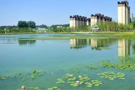 「原创」汝南西湖公园：夏日赏荷的绝佳去处图片
