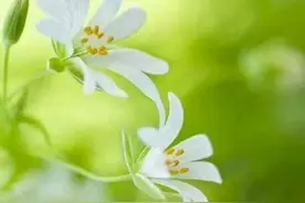 不辜负每一份热情，不讨好每一份冷漠图片