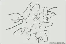 热塑性弹性体(TPE)是什么？以及常见问题图片