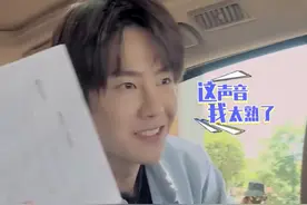 汪涵乔装司机接送王一博 一个哈欠被认出图片