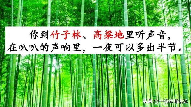 统版六年级上册第15课《夏天里的成长》重点知识点+课件