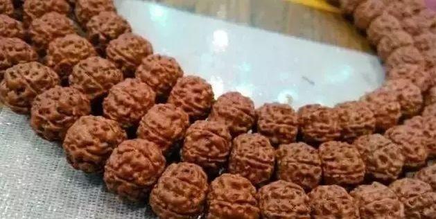 小金刚黑了怎么办