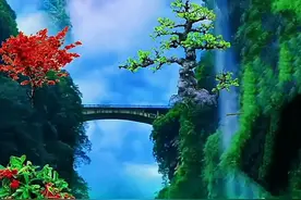 水瓶座——天生拥有贵族气质图片