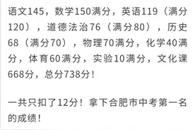 2020年合肥市中考第1名公布图片