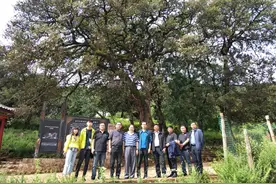 听，云南宁蒗复活“女儿国”的急促脚步声图片