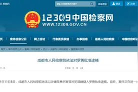 成都市人民检察院依法对罗勇批准逮捕图片