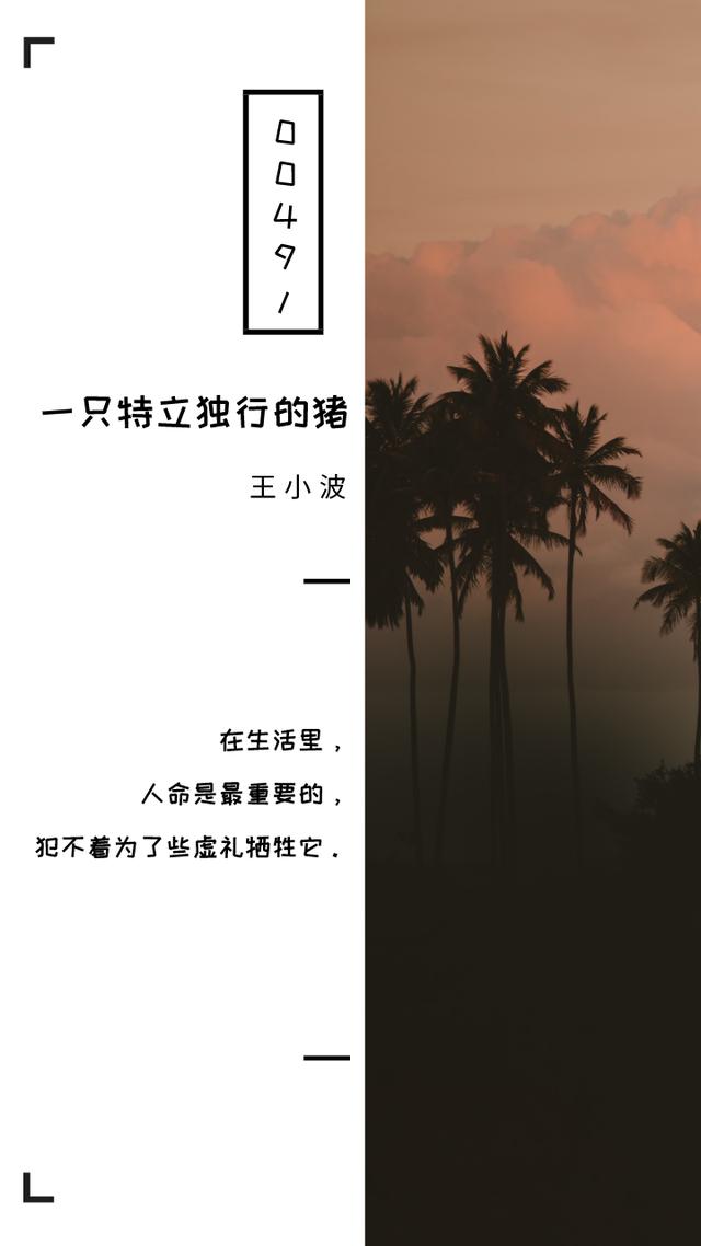 《一只特立独行的猪》十句经典句子