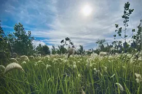 洛阳人身边的美景--洛浦公园图片