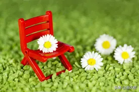 买房婆婆不出钱，儿媳不怒反笑，搬新家她不请自来养老，丢尽脸面图片