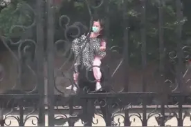 贾乃亮李小璐复合？两人打情骂俏 并在李小璐家中出没多次图片