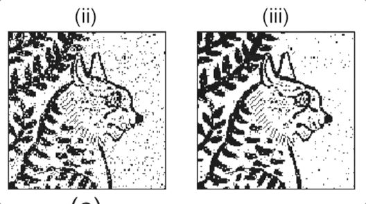 比DNA存储更可怕！你的照片居然可以存储在氨基酸分子溶液里