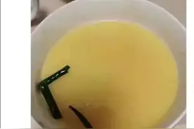 北大爸爸被留学生女儿网爆：你若对孩子百依百顺，他就敢肆无忌惮图片