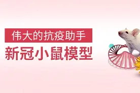 新冠小鼠模型-伟大的抗疫助手图片