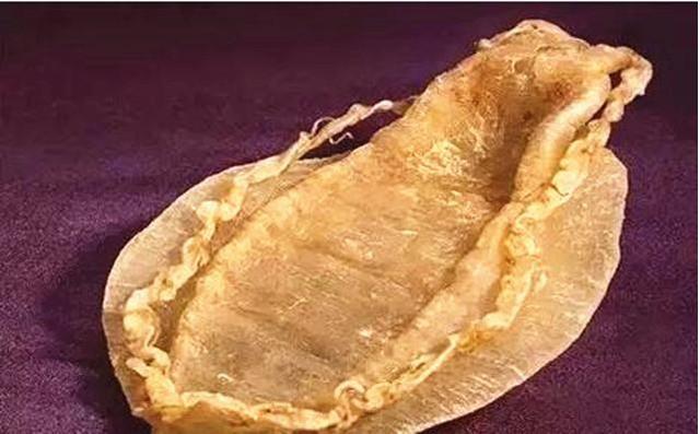 最贵的鱼胶是什么品种 2025年世界上最贵的鱼胶是什么鱼胶?