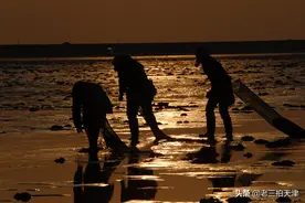 实拍“海女”渔民的一天：面朝大海“讨生活”图片