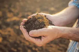 缅甸或将成为美国稀土战略供应链的牺牲品图片