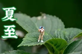 天气预报：夏至这天晴朗有什么预兆？看看老祖宗的谚语怎么说图片