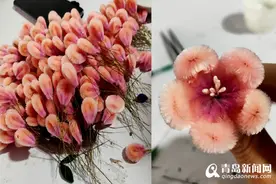 飒！她是年入60万的女老板 因"追剧"痴迷上了一门不赚钱手艺图片