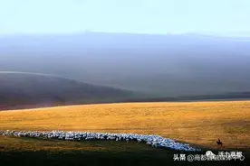 首都——薯都——商都图片
