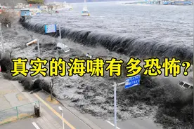 海啸的破坏力有多大？日本海啸的画面被曝光，人类像蚂蚁一样逃窜图片