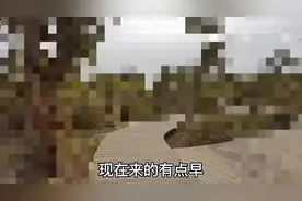 穷游伪人之～旷世奇才，头顶太阳，内容湖人，堵门雄鹿，强行活塞图片