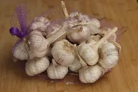原来保存大蒜这么简单，不用放冰箱，放一年不发芽不干瘪，收藏了图片