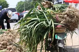 月嫂工资12000还包吃住，农村阿姨干了3个月，实在受不了就辞职了图片