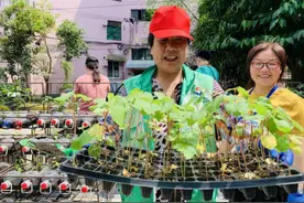 300个空油瓶能变成什么？开鲁一村居民的答案是：都市田园图片