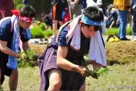 比山口组还牛的日本农协是怎样的存在图片