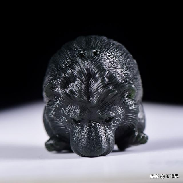 原来狮子也有萌萌的一面，身体圆浑丰满，乖巧可爱