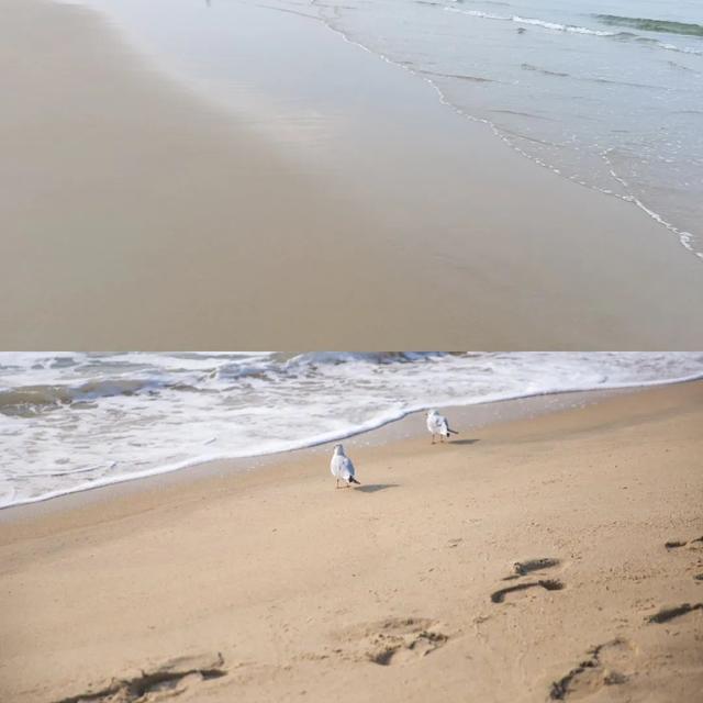 从藏茶客角度：只靠喝，能选出一款有存放潜力的茶吗？（下）