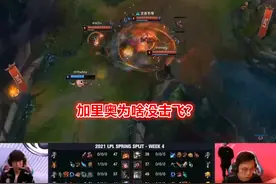 IG重现经典BUG！TS纳尔无视加里奥击飞，对手却没敢喊暂停图片